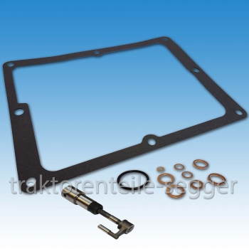 Pumpenelement + Dichtringsatz + Pumpendeckeldichtung für Deutz F 1 L 514 11-teilig