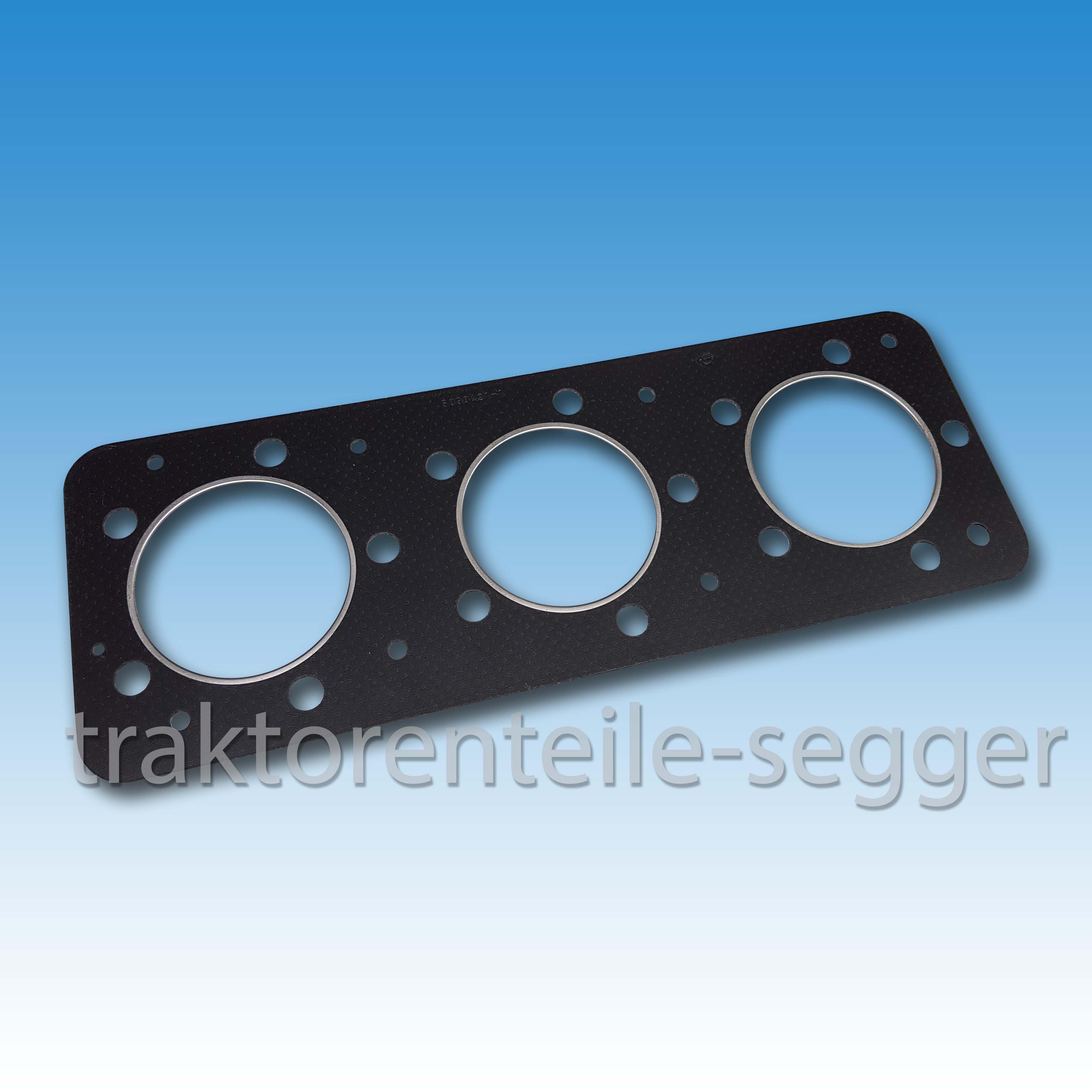 Anlasser NEU Für Holder AG3 AG35 F AM2 B25 P50 Motor HD2 HD3 0001307022 AKS1952